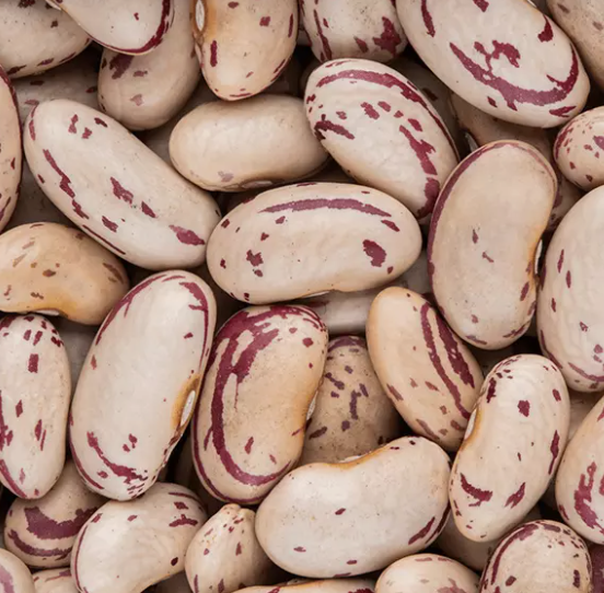 Sunjoy Sugar Beans